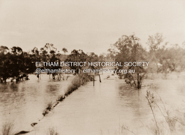 Photograph, Diamond Creek in flood 1924, 1924