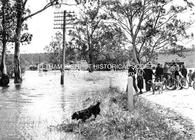 Photograph, Main Road, Eltham South, near Eltham Park, flooded by the Diamond Creek, 30 Nov. 1934