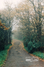 Photograph, Diamond Creek Trail, Eltham