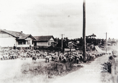 Photograph, Main Road, Eltham, looking south near Diamond Street, c.1937, 1937c
