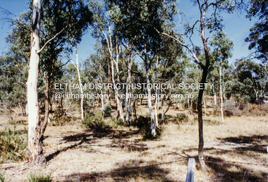 Photograph, Hohnes Hill Reserve, Eltham Lower Park