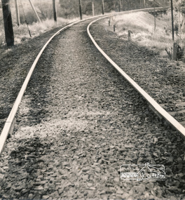 Photograph, George W. Bell, Eltham Railway, 1960c