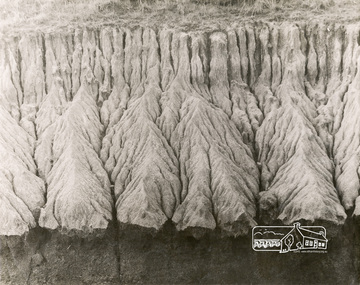 Photograph, George W. Bell, Eroded Creek Banks, Eltham, Susan Street