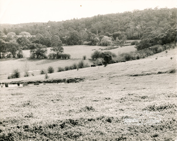 Photograph, George W. Bell, River Flats, Sweeneys Lane, 1960s