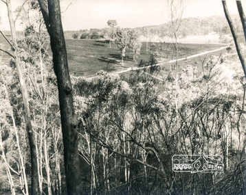 Photograph, George W. Bell, Fire Aftermath Eltham, Laughing Waters Area, 1965