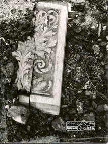 Photograph, George W. Bell, Fire Remnant, Eltham, 1964, 1964