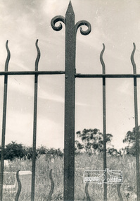 Photograph, George W. Bell, Gateway Diamond Creek Cemetery, 1965