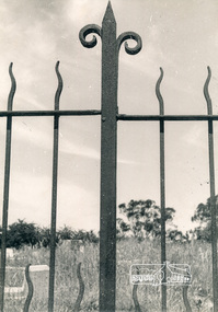Photograph, George W. Bell, Gateway Diamond Creek Cemetery, 1965, 1965