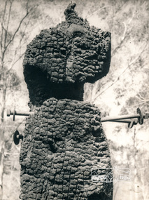 Photograph, George W. Bell, Diamond Creek, 1969, 1969