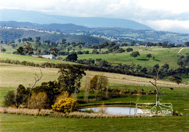 Photograph, Garden Hill, Kangaroo Ground