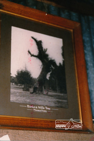 Photograph, Peter Bassett-Smith, Display of Society collection at 'Ness' House, 1987, 1987