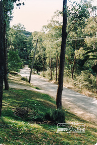 Photograph, Peter Street, Eltham