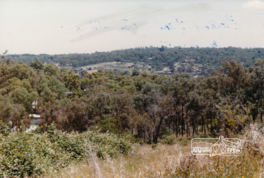 Photograph, Looking south west from top of Pitt Street hill, Eltham, Dec 1984, 1984