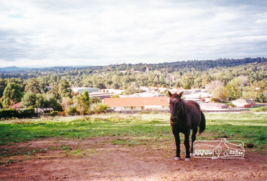 Photograph, View north east from Porter Street, Eltham, 1994, 1994_