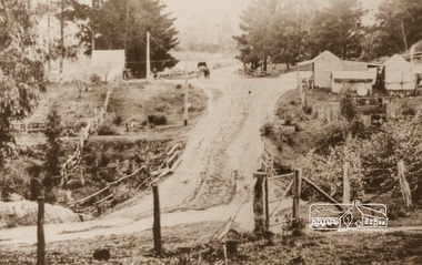 Photograph, Upper Diamond Creek, Silvan Gully area, 1911