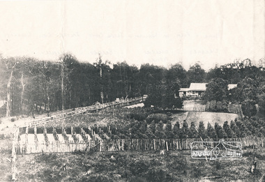 Photograph, Cant house and farm, Salters Rush