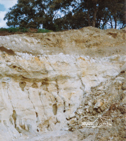 Photograph, Peter Bassett-Smith, Shire of Eltham Tip, west end of Graham Road, Kangaroo Ground