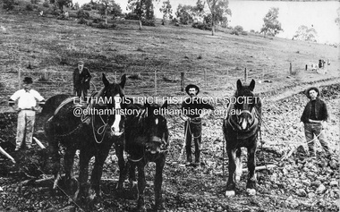 Photograph, Railway construction gang, possibly at Eltham North, c.1910
