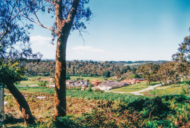 Photograph, Irvine Green, Falkiner Street, Eltham; from Porter Street, 1996, 1996