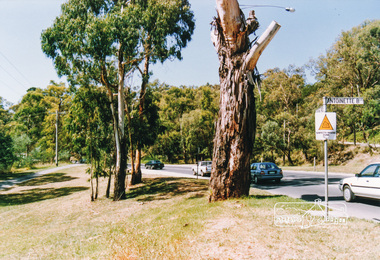 Photograph, Main Road, Eltham South near Antoinette Boulevard