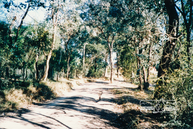 Photograph, Thompson Crescent near Norman Road, Research