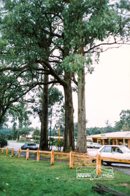 Photograph, Kinglake Shops