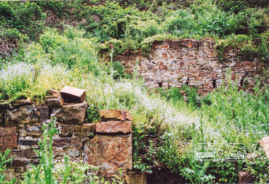 Photograph, Ruins of Coulstocks Mill, Janefield, South Morang