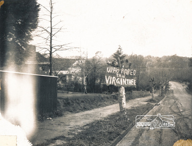 Photograph, Main Road south of Brougham Street, Eltham, 1969, 1969