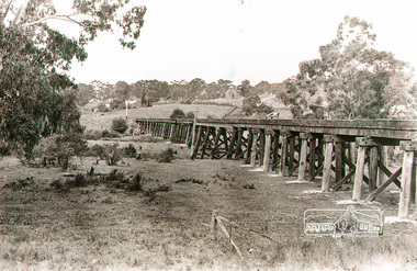 Photograph, Rural view of trestle Bridge, Eltham, c.1912