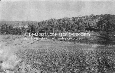 Photograph, Trestle Bridge, Eltham, c.1910
