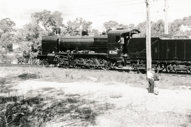 Photograph, Steam Trains at Eltham, c.1960s, 1960s
