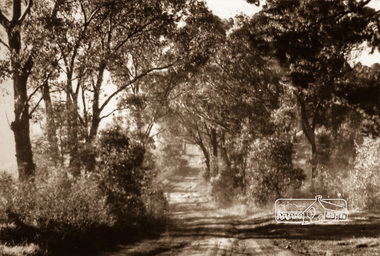 Photograph, Brougham Street near Bolton Street, Eltham