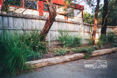 Photograph, Marion Yeoman's Garden, 728 Main Road, Eltham, 9 Nov 2004, 9/11/04