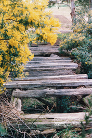 Photograph, Bridge over Diamond Creek, Murray's property, Eltham, c.1983