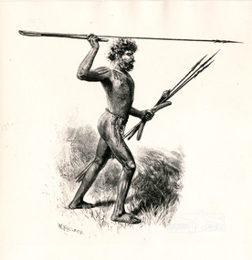 Photograph, Sketch of Aboriginal man with spears by W. Macleod