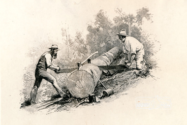 Photograph, Sketch of two men sawing a log