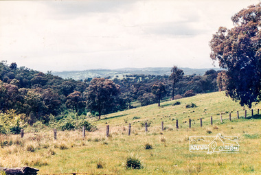 Photograph, Landscape typical to Shire of Eltham