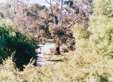 Photograph, Eltham Town Park (previous tip site)