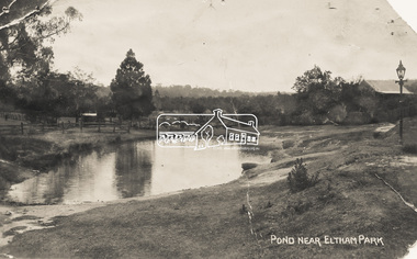 Photograph - Photo Postcard, Pond near Eltham Park, c.1910