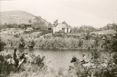 Photograph, Near Wonga Park Reserve