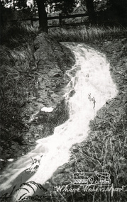 Photograph, Tom Prior, Where water's sport
