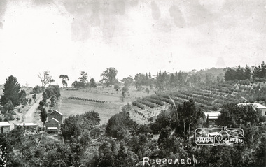 Photograph, Tom Prior, Research
