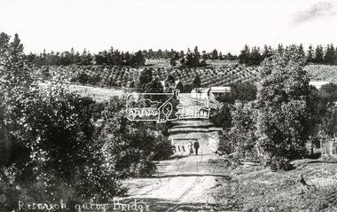 Photograph, Tom Prior, Research Gully Bridge, Research Gully Road, Research, c.1895