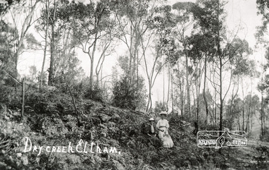Photograph, Tom Prior, Dry Creek, Eltham