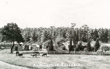 Photograph, Tom Prior, A Homestead, Research