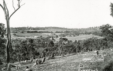 Photograph, Tom Prior, Clearing land at Research