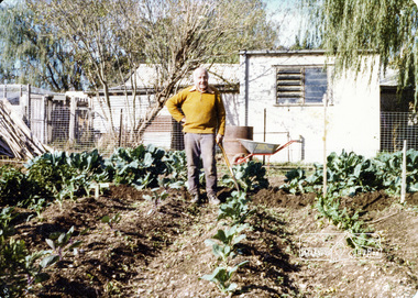 Photograph, Garden Group area, Eltham Living and Learning Centre, c.May 1976, 1976