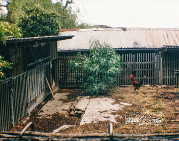 Photograph, Original Goat Shed and side of old storage shed shown on layout diagrams of site, Eltham Living and Learning Centre
