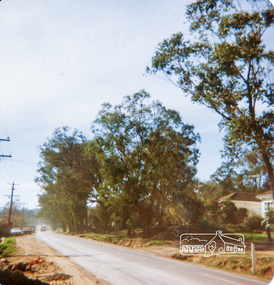 Photograph, Main Road, Eltham looking towards Wattletree Road and Research, August 1980, 1980