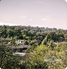 Photograph, Out of our back window at Eltham looking up towards Woodridge, 1976